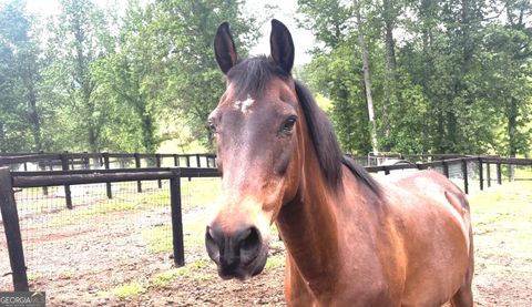 349 Debord DR LOT #4 Waleska GA 30183