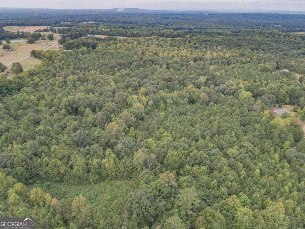 Photo of 0 Roopville Veal Road, Roopville, GA 30170 (MLS # 10868151)