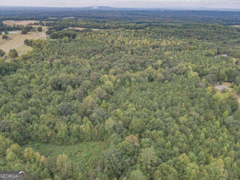 Photo of 0 Roopville Veal Road, Roopville, GA 30170 (MLS # 10868151)