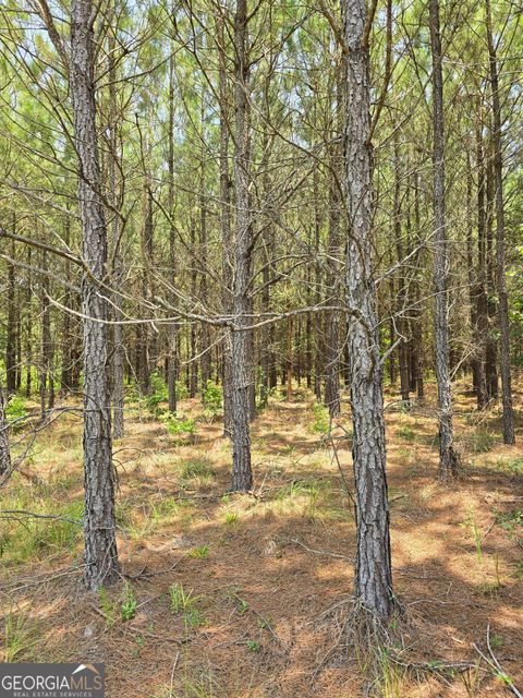 Photo of 0 GA Hwy 56 N, Waynesboro, GA 30830 (MLS # 10801927)