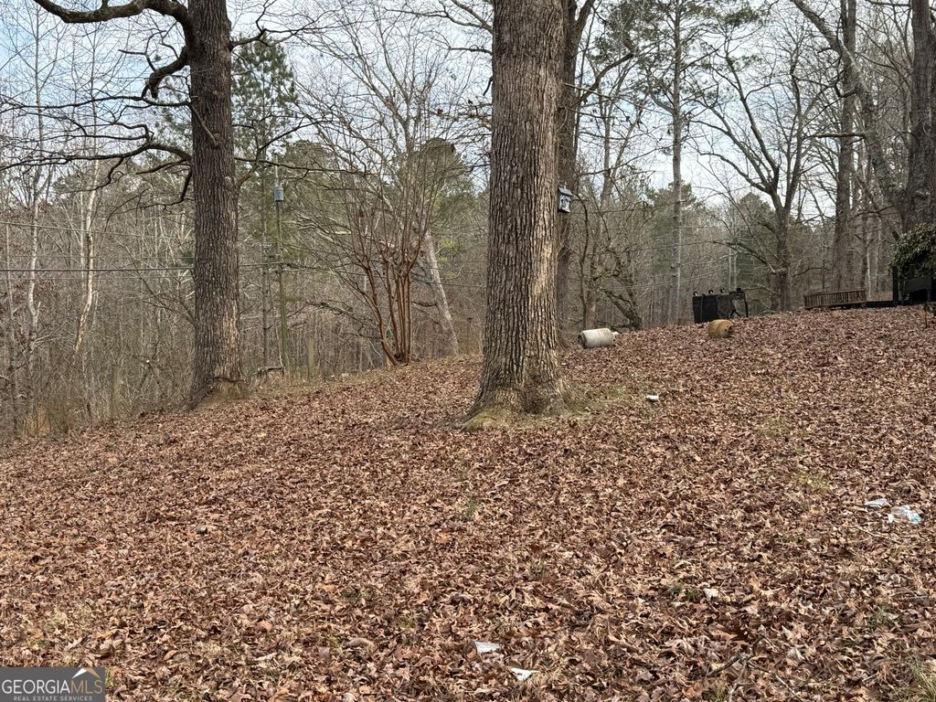 Photo of 4445 Talking Rock Rd, Talking Rock, GA 30175 (MLS # 10685400)