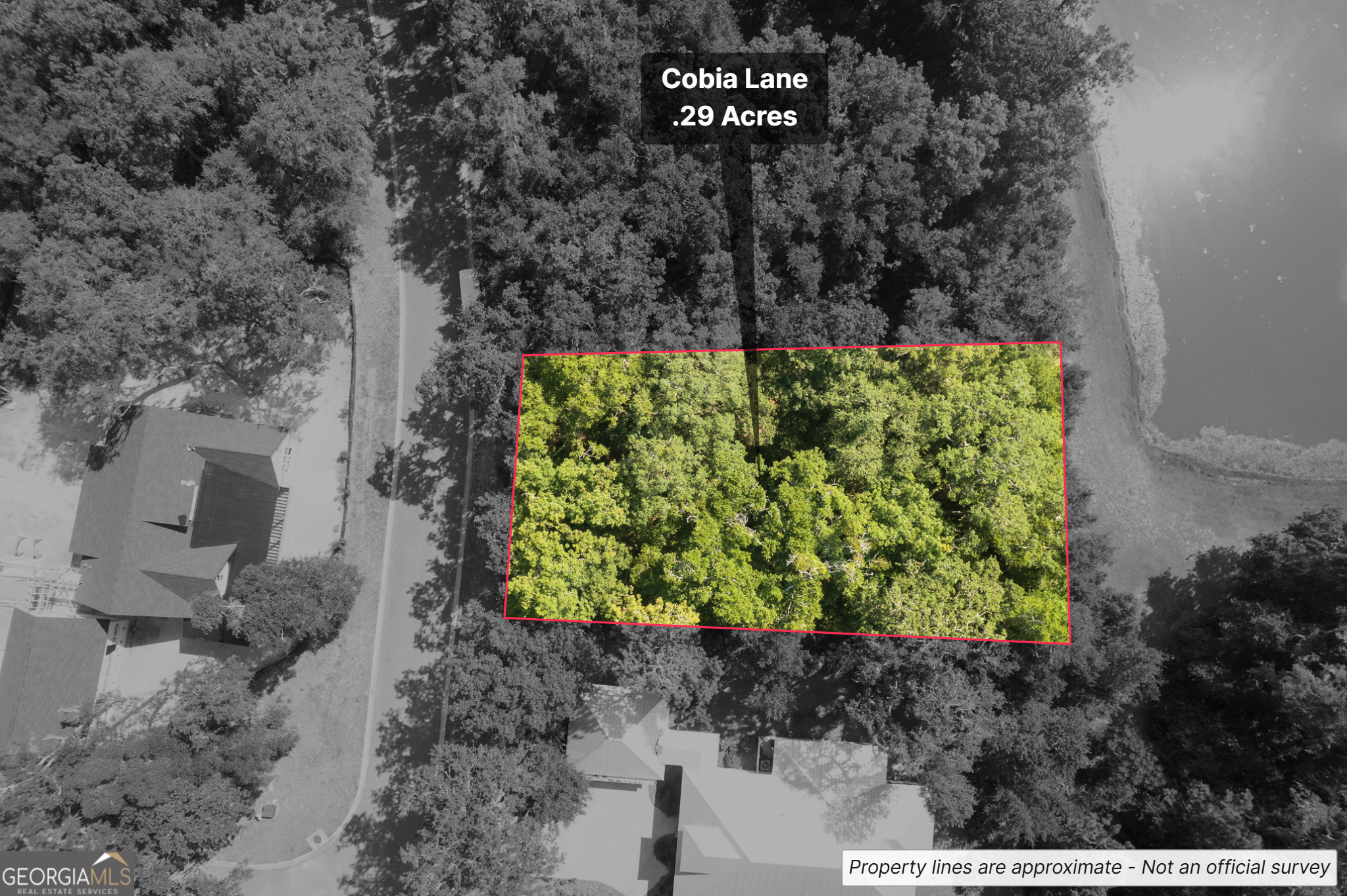 Build your dream coastal retreat on this beautiful .29-acre lake-front lot located on Cobia Lane in the prestigious gated community of Cumberland Harbour. Tucked beneath a canopy of live oaks and palms, this homesite offers tranquil lakefront water views and a peaceful setting with direct pond frontage and a common area buffer-ideal for backyard relaxation or bird watching. Cumberland Harbour is one of Coastal Georgia's premier communities, nestled between the St. Mary's and North Rivers and just minutes from historic downtown St. Mary's and the ferry to Cumberland Island National Seashore. Residents enjoy resort-style amenities including three pools, tennis courts, pickleball, walking and biking trails, a fitness center, and community docks for kayaking and paddleboarding. With manned-gated security and thoughtfully planned green spaces, this community blends natural beauty with modern comforts. Build when you're ready-no required timeline-and bring your own builder or choose from one of the community's preferred partners. Whether you're planning a full-time residence or a peaceful getaway, this lot offers location, lifestyle, and water views in one of St. Marys' most sought-after neighborhoods.