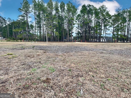 SOUTHSIDE DR, BLACKSHEAR, GA 31516 - Image c3e425da7ab8366cdb2bd50a40a24802/3960826782