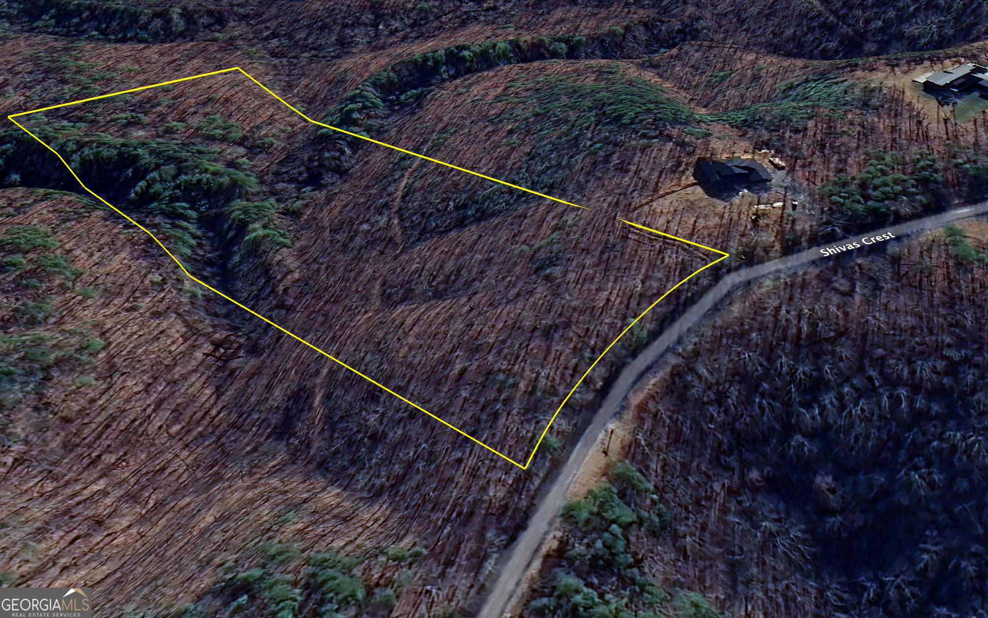 Listing image 4