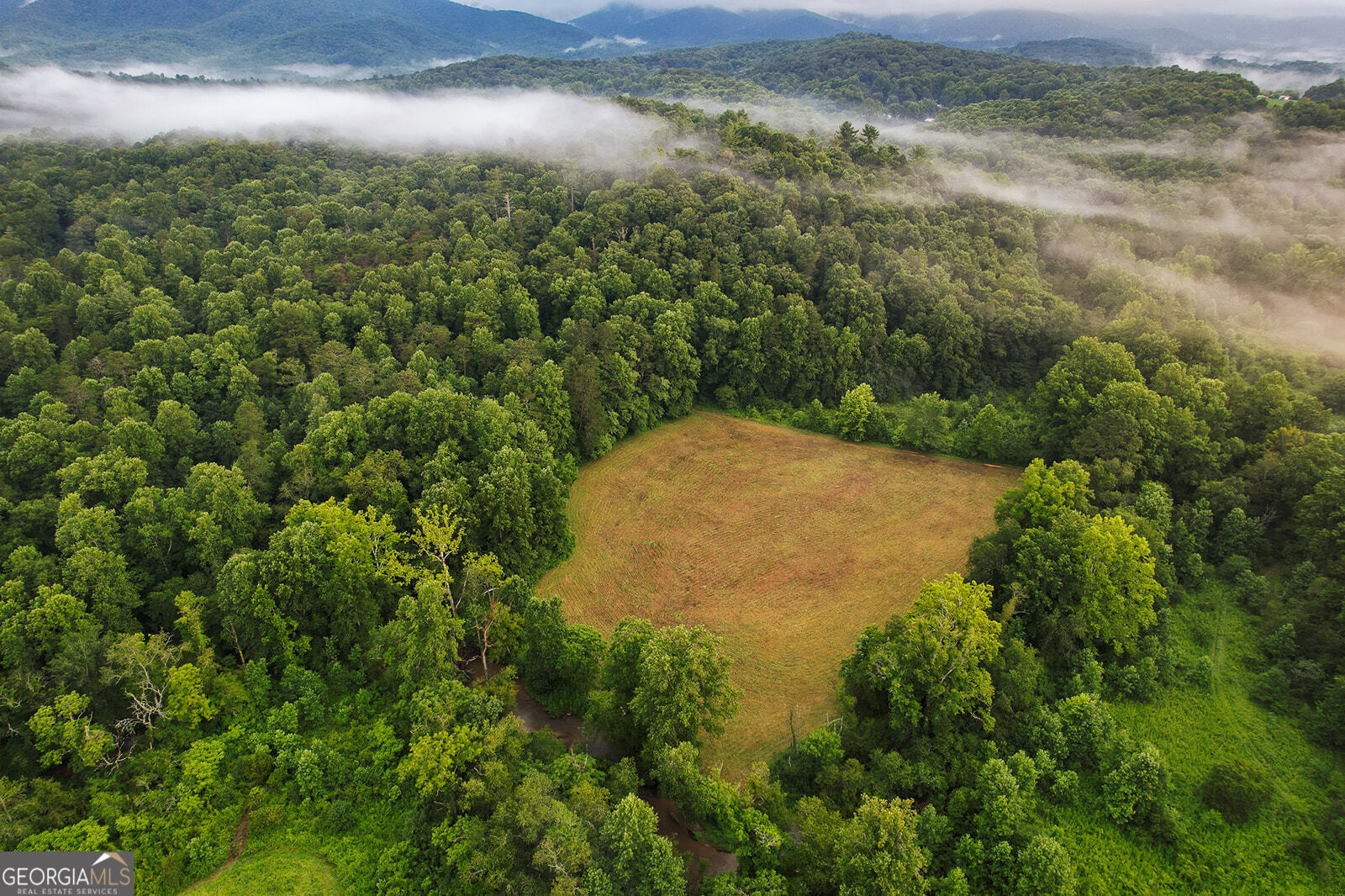 1055 New Liberty TRL