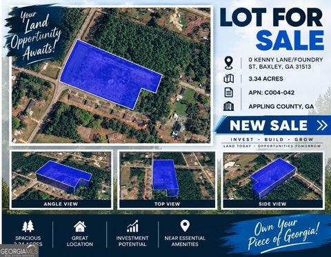 Photo of 0 Kenny Lane/Foundry Street, Baxley, GA 31513 (MLS # 10847454)