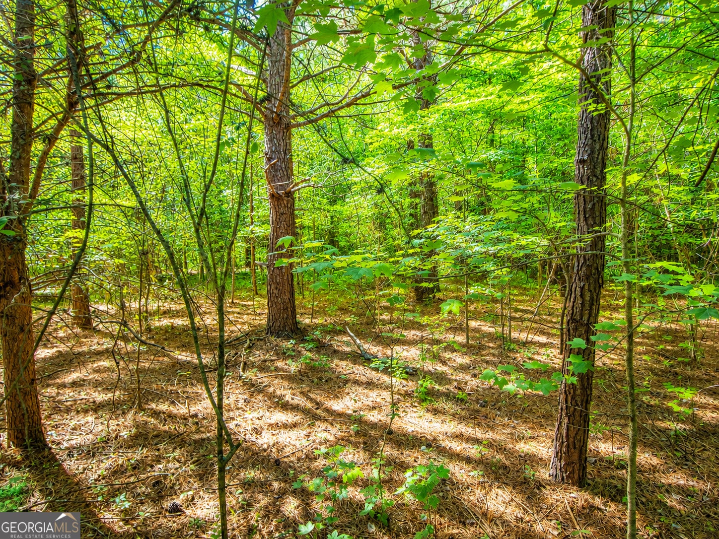4.13 ACRES Bronco RD