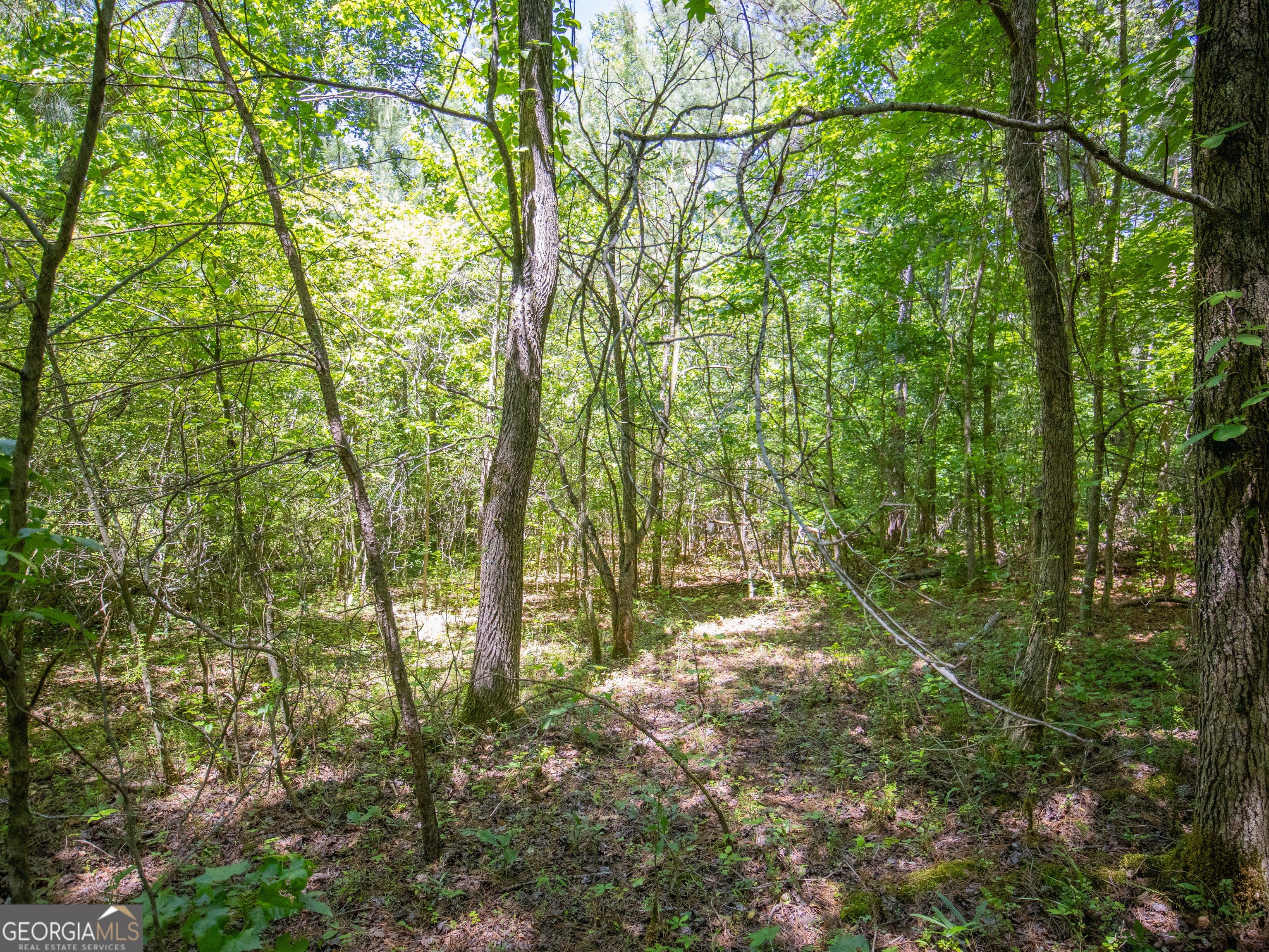 4.13 ACRES Bronco RD