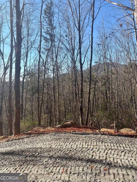 Photo for 28 B Sal Mountain WAY