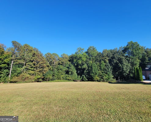 3445 RIVER BIRCH LOOP, JEFFERSON, GA 30549 - Image c441a046dbd7d2da01d21ea8a9b22efd/1550900586