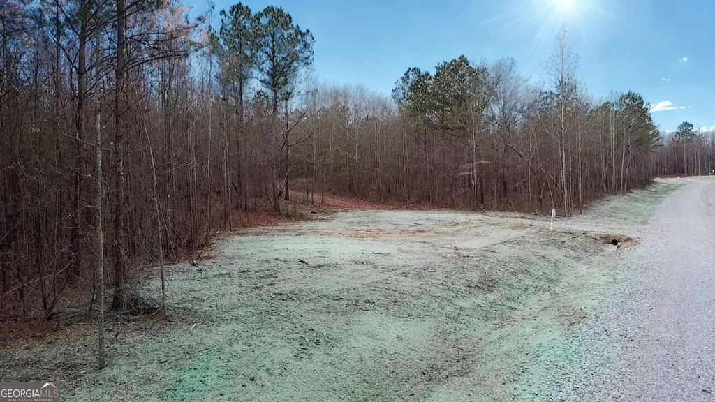 Photo of 144 Berry Road #LOT 13, Barnesville, GA 30204 (MLS # 10812608)