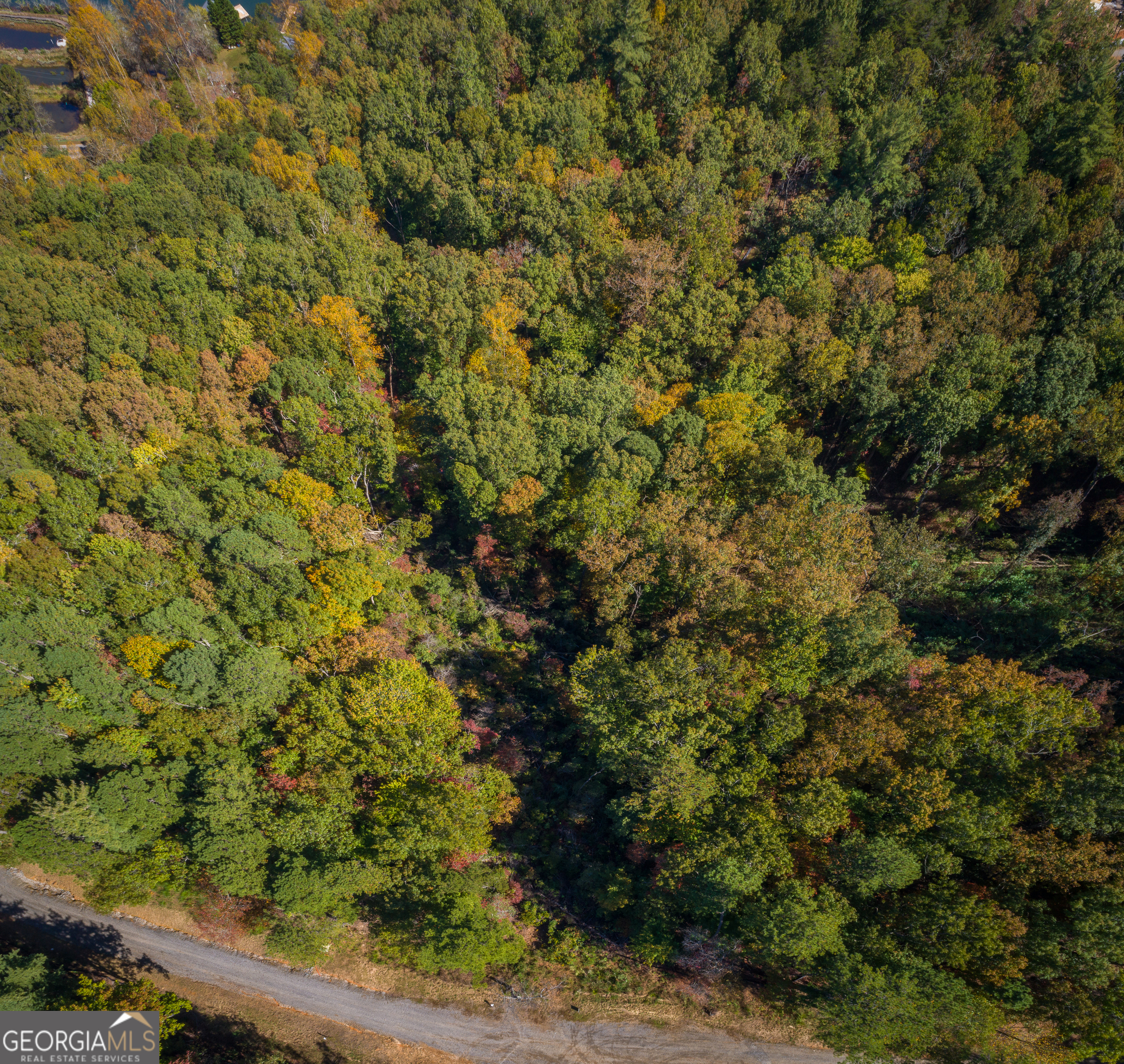 Summit at Lake Burton - Residential