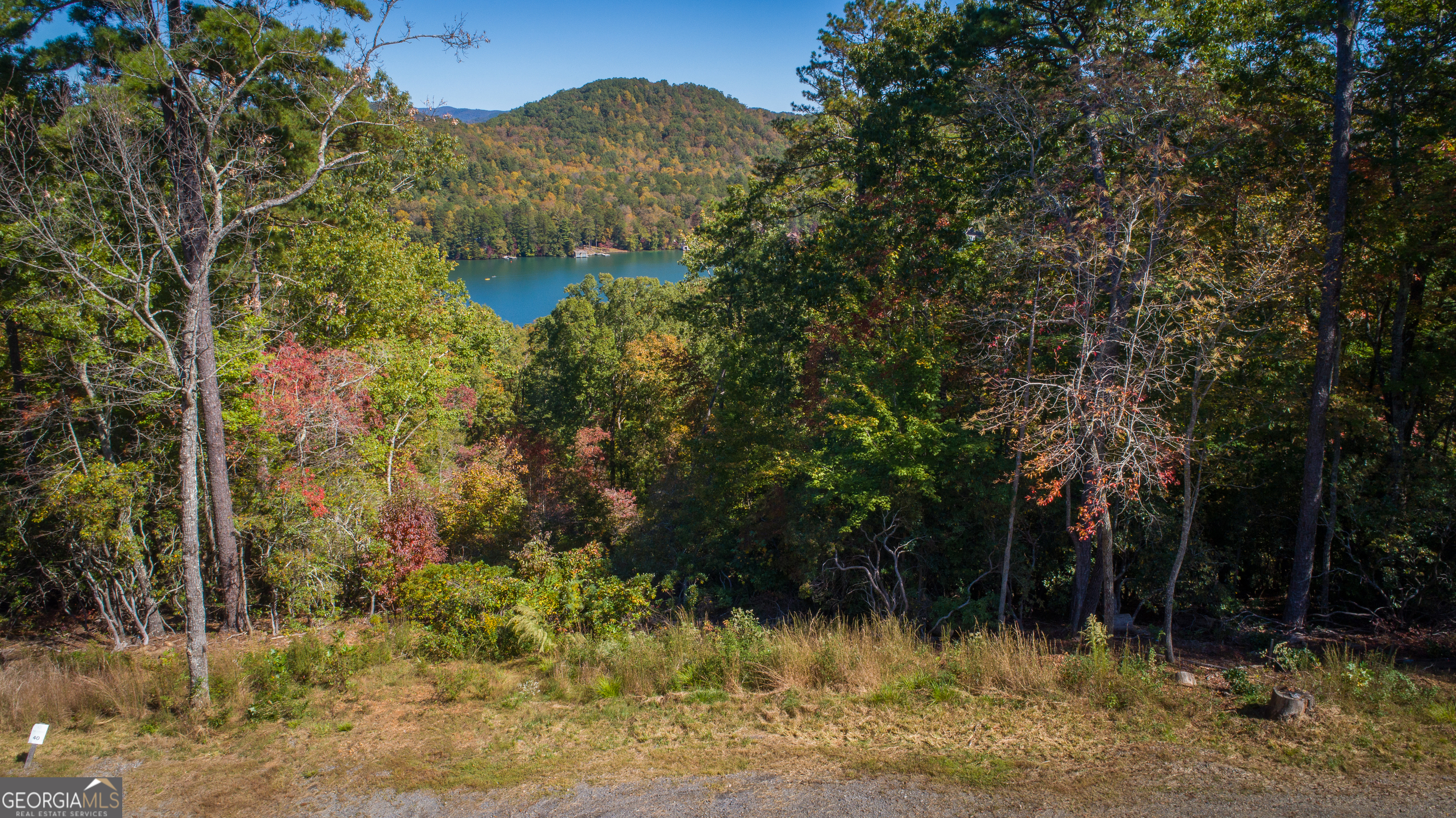 0 Ivy Ridge WAY LOT 40