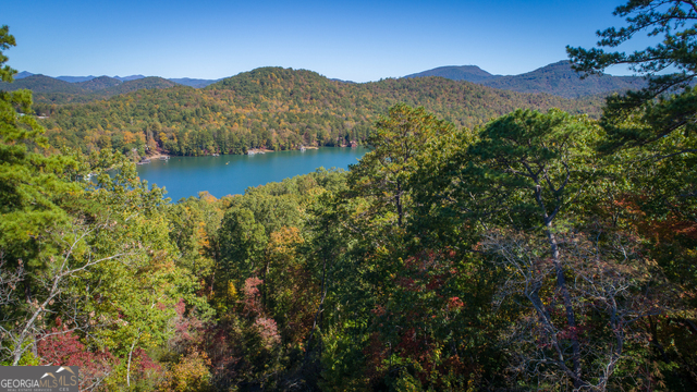 Summit at Lake Burton - Residential