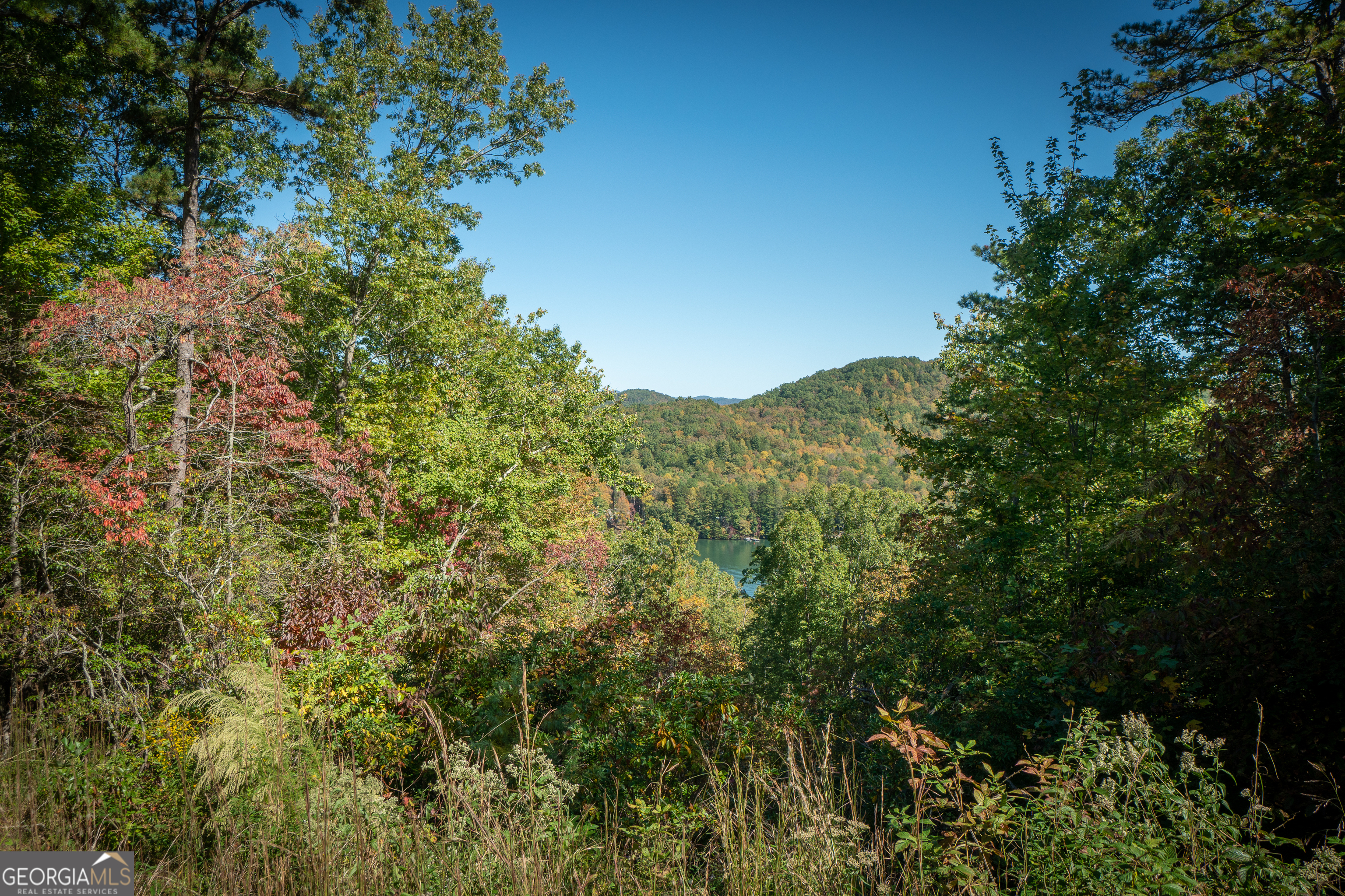 Summit at Lake Burton - Residential