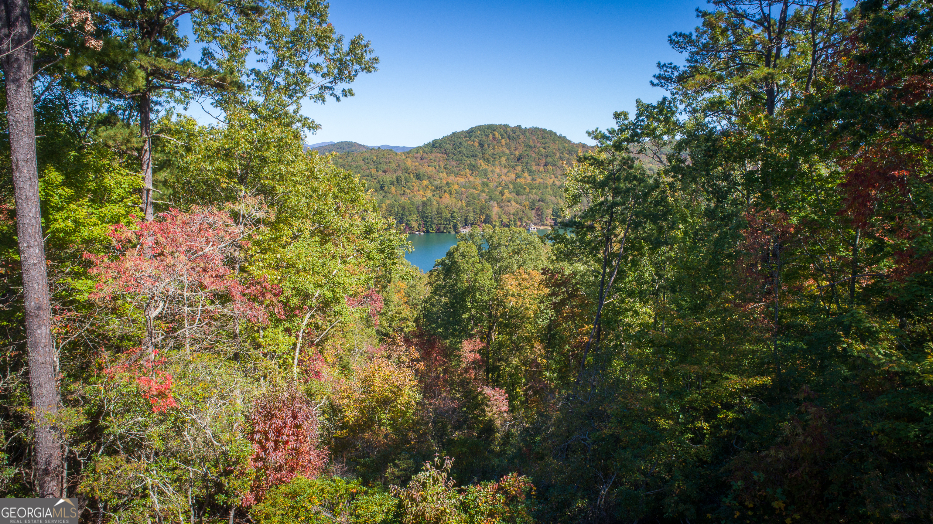 Summit at Lake Burton - Residential