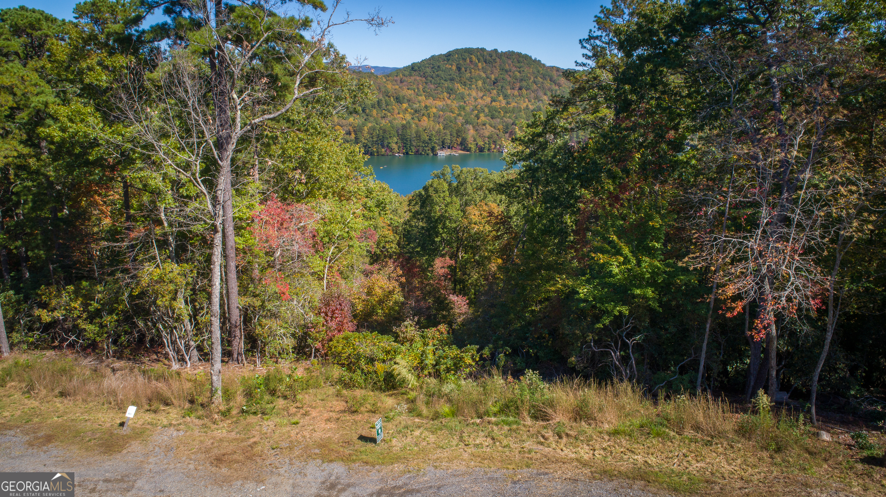 Summit at Lake Burton - Residential