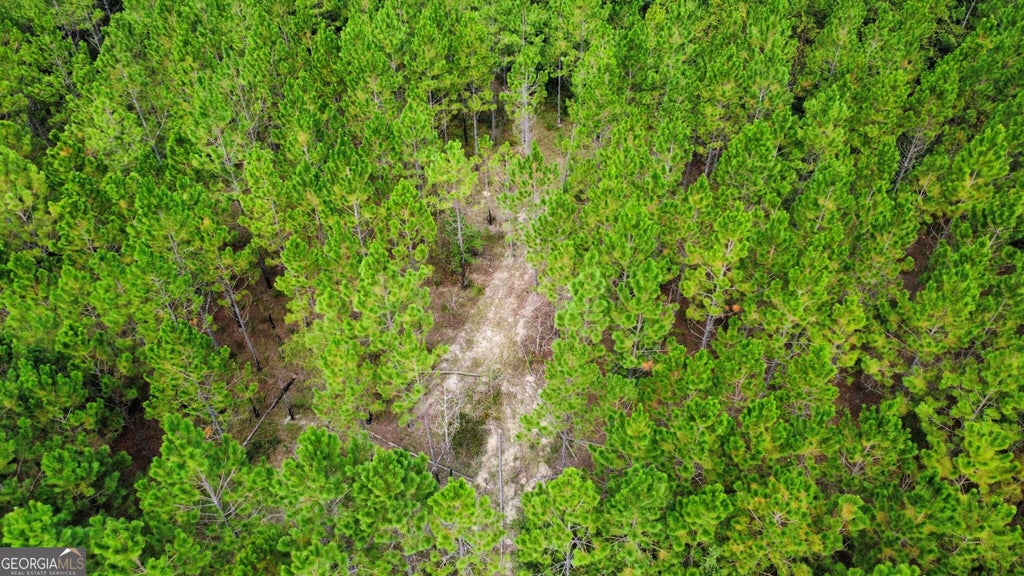 Photo of 6 Sunflower Road, Fitzgerald, GA 31750 (MLS # 10836418)