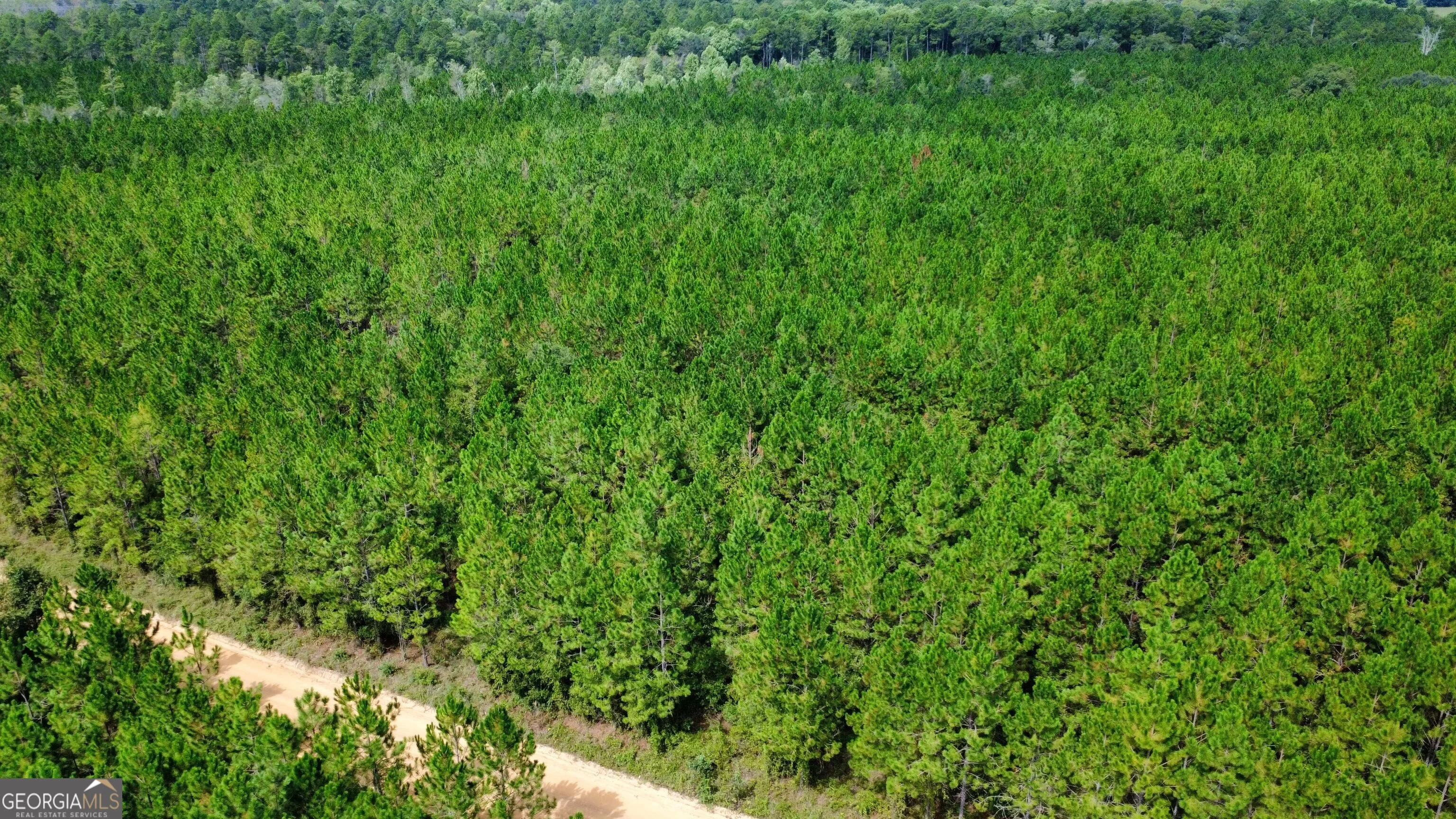 TRACT 6 Sunflower Road, Fitzgerald, GA, 31750