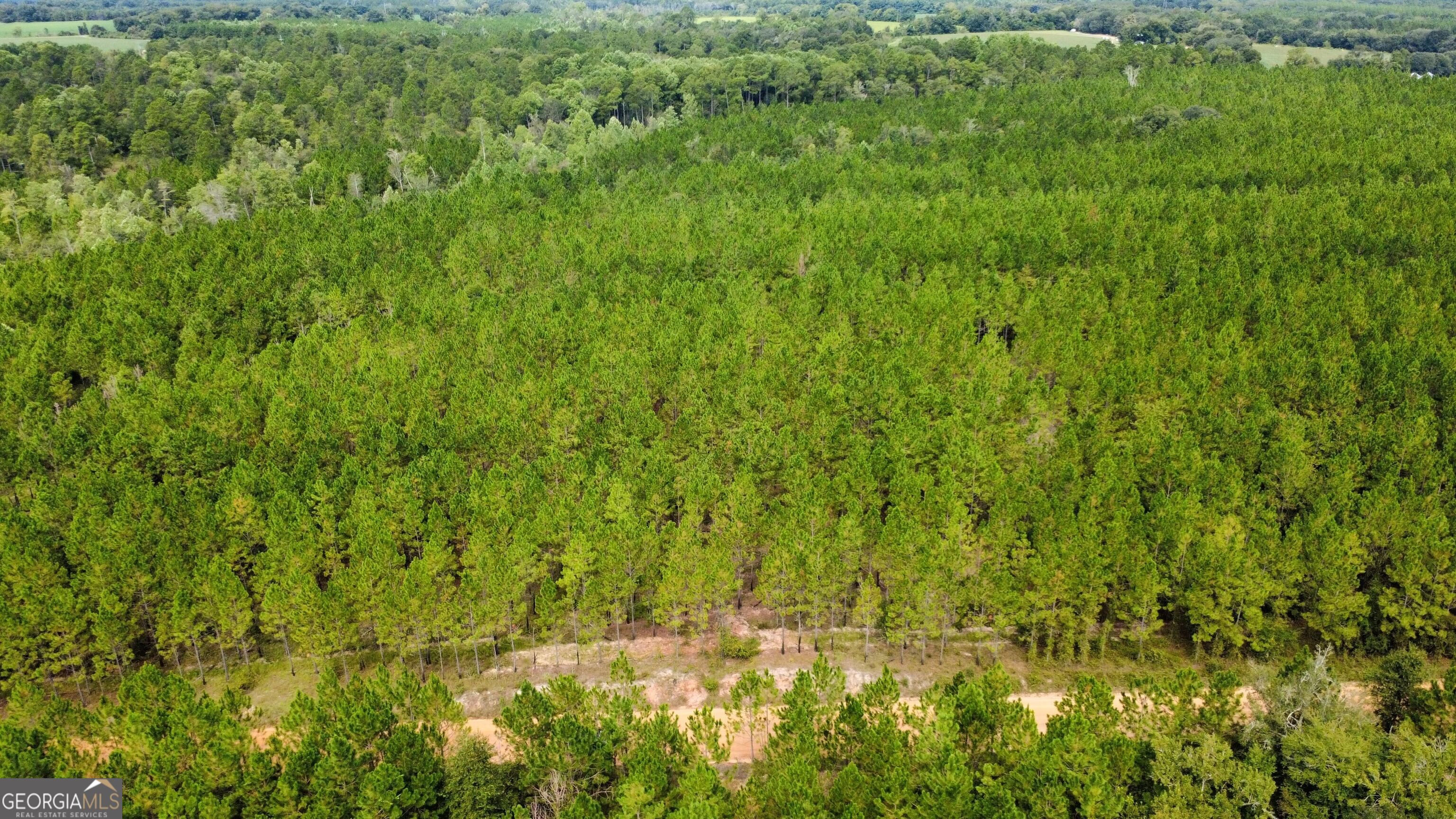 TRACT 6 Sunflower RD