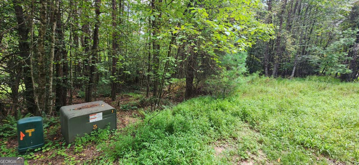 Lot 45 in Old Mill Pond Valley Estates is a great buildable lot with potential views for a great price! Do not wait on this opportunity! The lot is very gentle then takes a nice drop off to potentially expose some views. Great roads that are on a regular maintenance schedule.