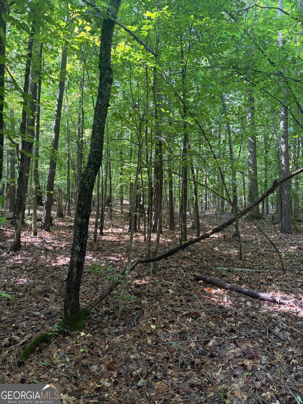 Photo of 146 Ivey Drive SW, Milledgeville, GA 31061 (MLS # 10818208)