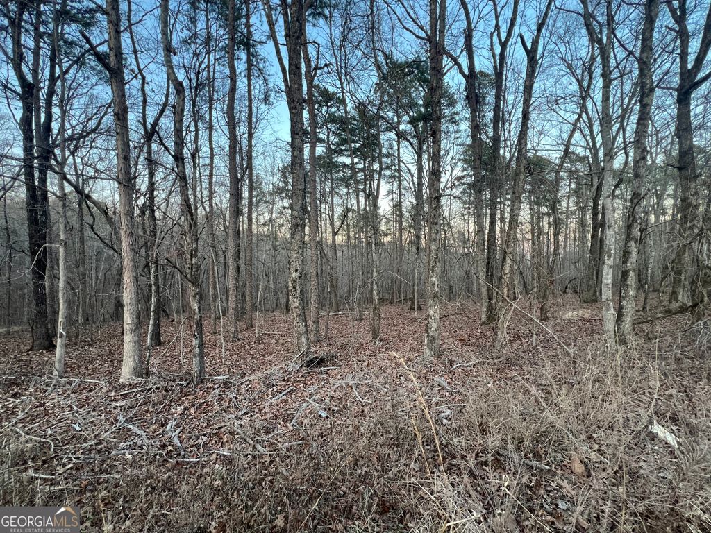 Photo of 0 Ireland Drive, Rome, GA 30161 (MLS # 10688351)