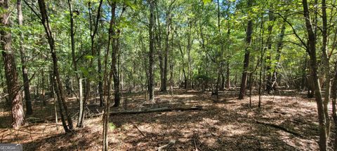 Photo of 5 Ripplewood Trail, Euharlee, GA 30145 (MLS # 10739086)