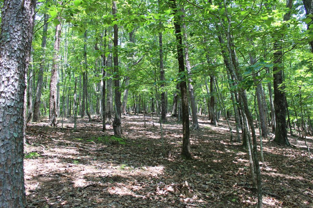 Photo of 0 Denny Ridge Road #4568, Jasper, GA 30143 (MLS # 10184392)
