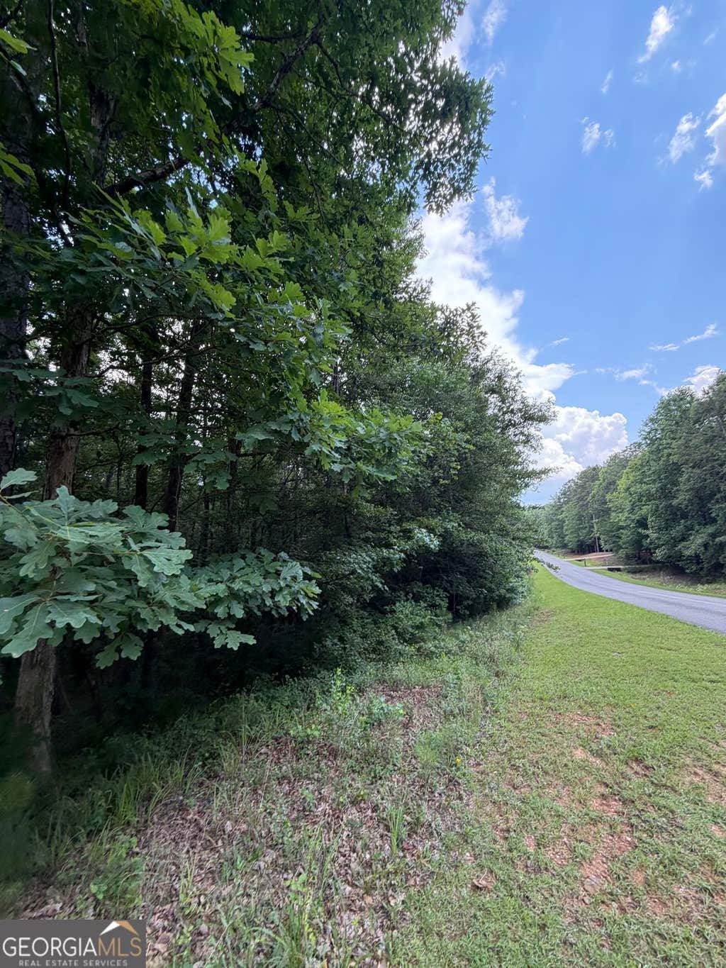 Photo of 000 SERENITY LOOP, CATAULA, GA 31808 (MLS # 10786831)