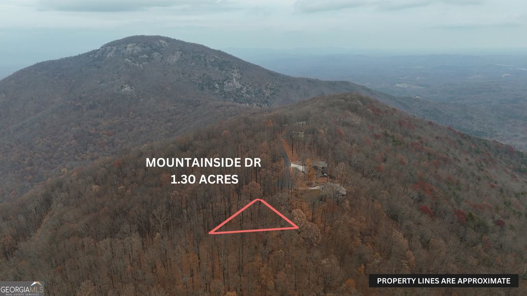 Photo of 11 Mountainside Drive, Cleveland, GA 30528 (MLS # 10775244)