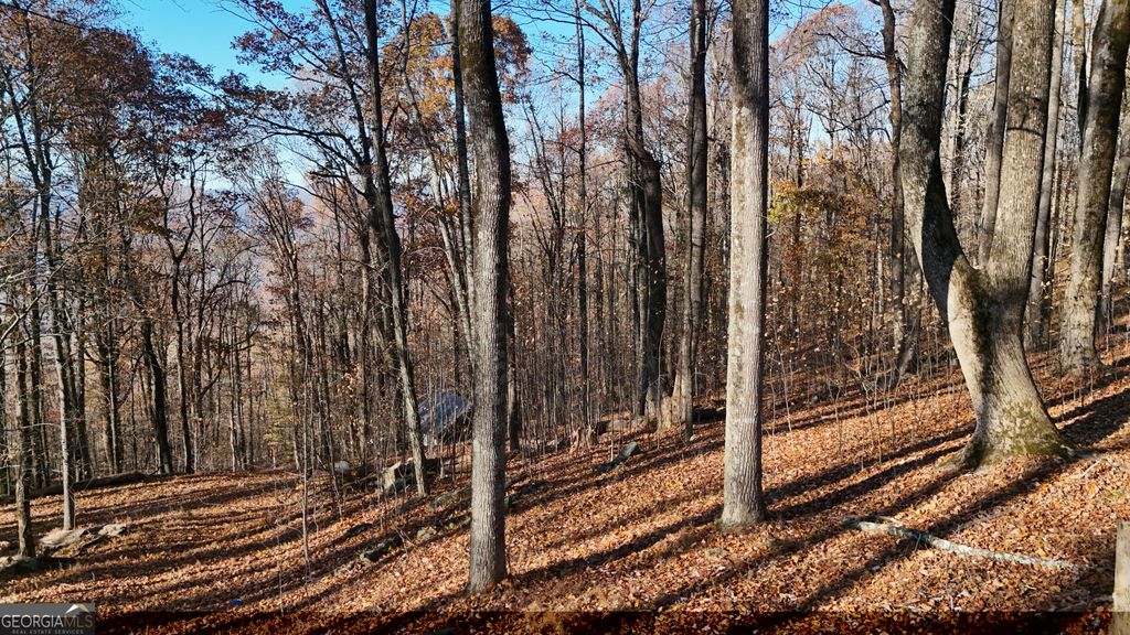Photo of 11 Mountainside Drive, Cleveland, GA 30528 (MLS # 10775244)