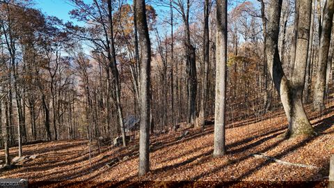 Photo of 11 Mountainside Drive, Cleveland, GA 30528 (MLS # 10775244)