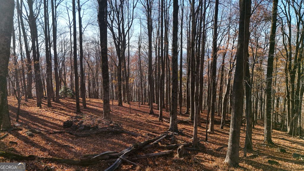 Photo of 11 Mountainside Drive, Cleveland, GA 30528 (MLS # 10775244)