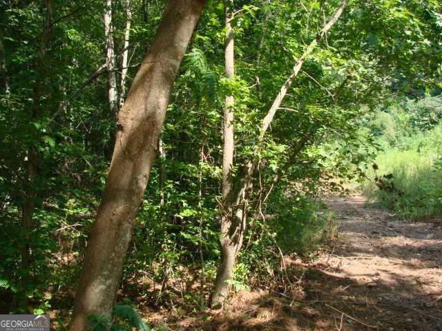 Prime location in the Walton school district! Calling all builders and buyers looking to custom build in East Cobb! It already has a curb cut and driveway egress. Public sewer and all utilities available. The wooded portion of the lots provide extra privacy and a serene setting! Zoned R30.