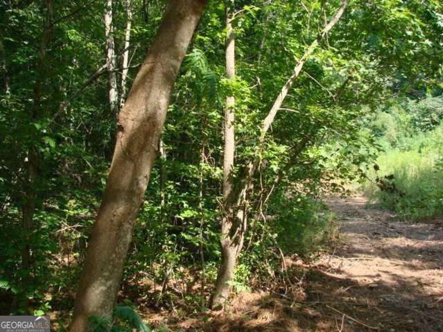 Prime location in the Walton school district! Calling all builders and buyers looking to custom build in East Cobb! It already has a curb cut and driveway egress. Public sewer and all utilities available. The wooded portion of the lots provide extra privacy and a serene setting! Zoned R30.