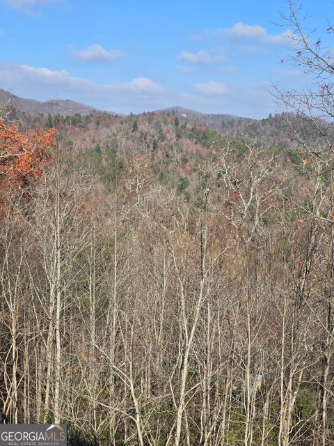 A home in Hiawassee