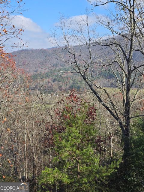 A home in Hiawassee