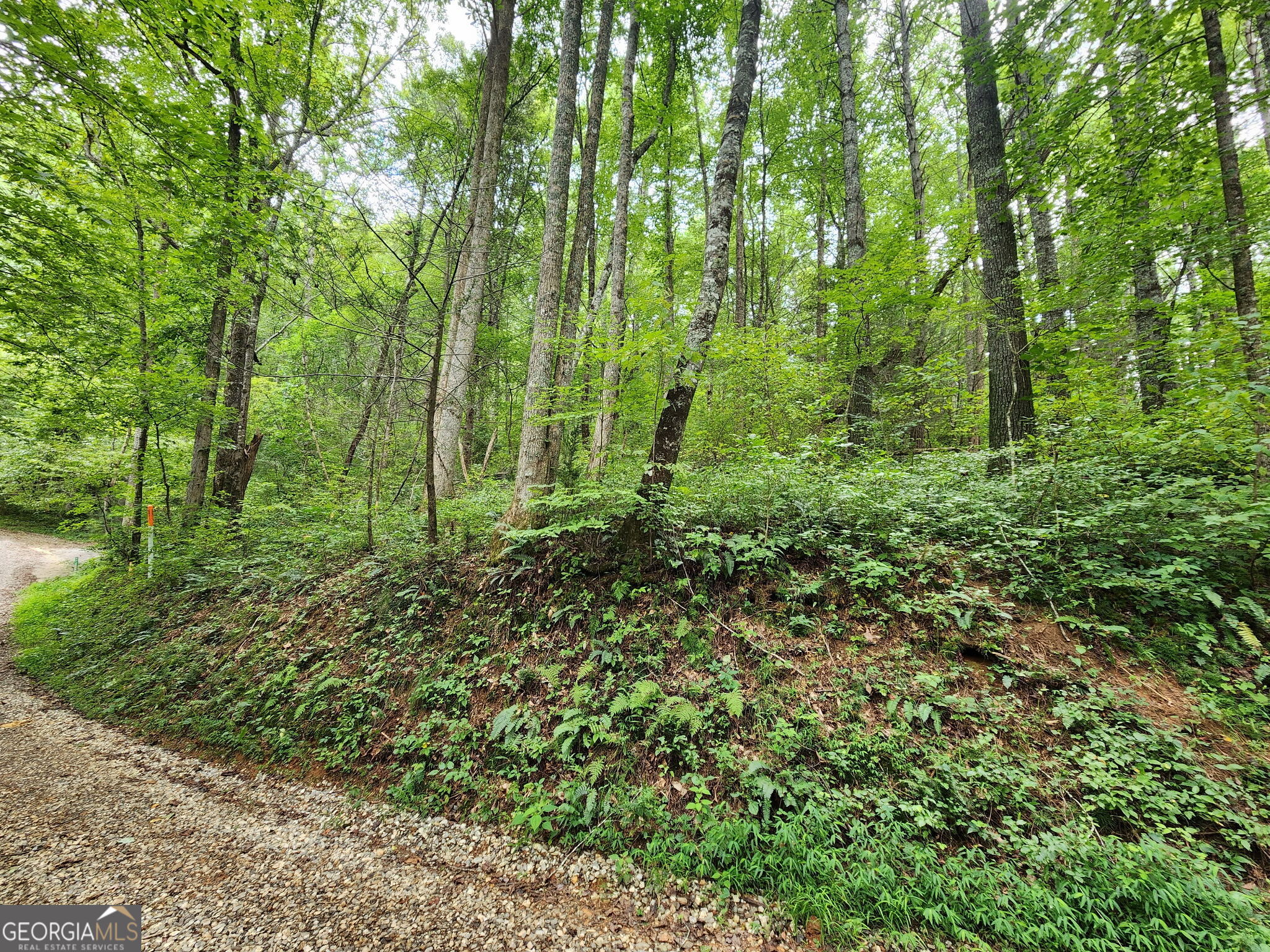 TRACT 2B Poplar Cove TRL