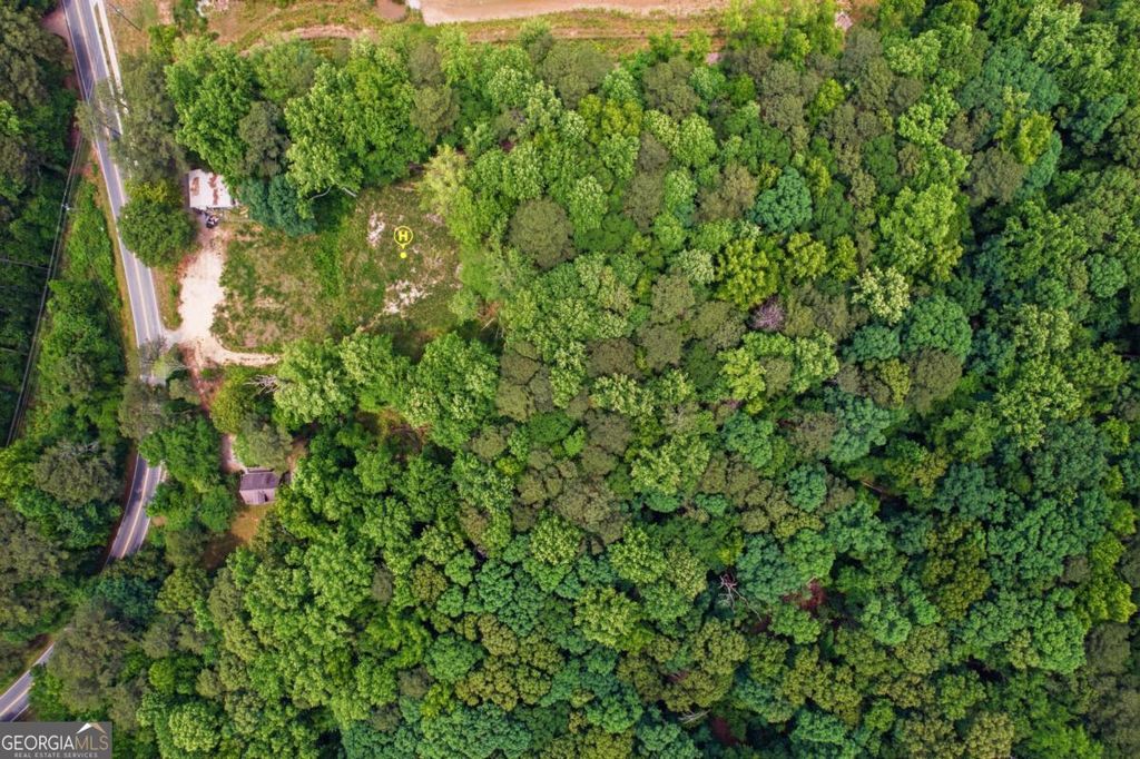 Photo of 1476 Mount Vernon Road, Lithia Springs, GA 30122 (MLS # 10795590)