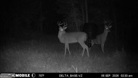 Photo for 49.2 ACRES Jordon RD