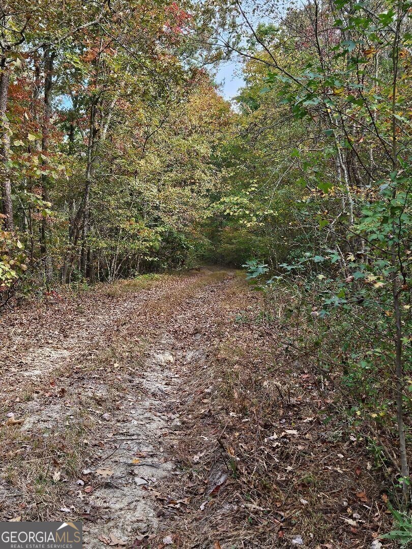 51+ Secluded Acres, Valley's, Mountain Views, Plenty of Wildlife.