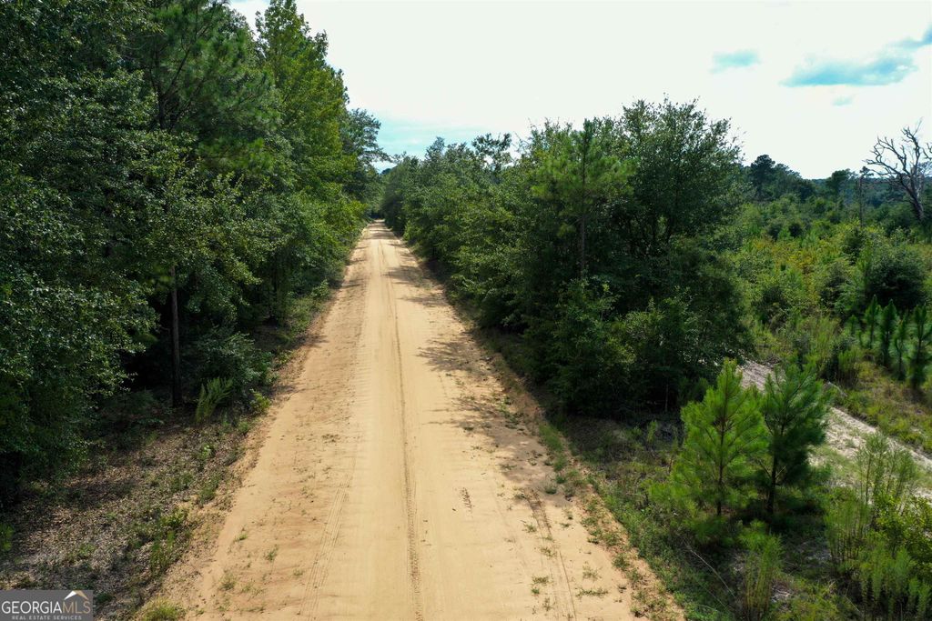 Photo of 0 Martin Road, Pembroke, GA 31321 (MLS # 10736589)