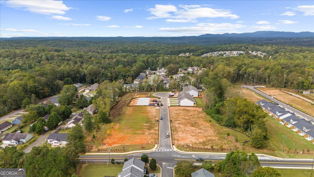 The Village at Maple Street - Residential