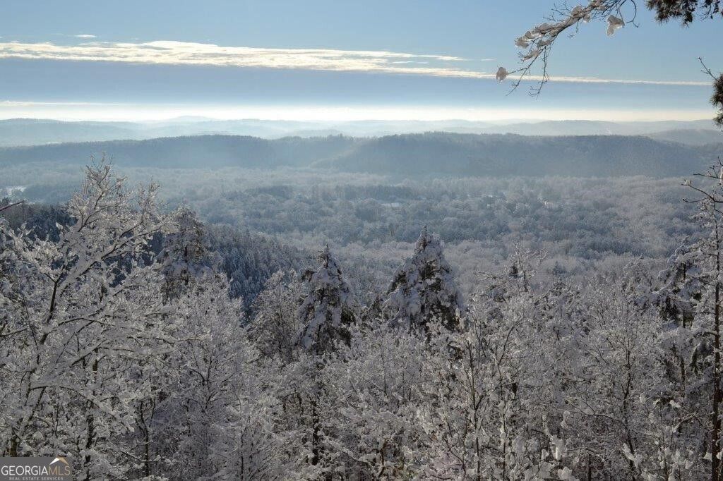 Photo of 0 Mount Alto Road, Rome, GA 30165 (MLS # 10736939)