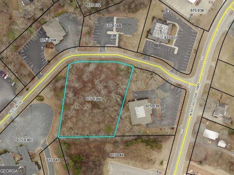 Photo of 810 Austin Drive, Demorest, GA 30535 (MLS # 10794572)