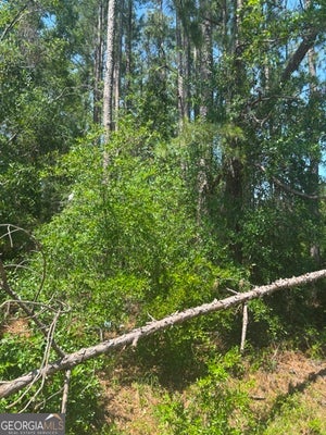 0 STONEY BROOK WAY, REIDSVILLE, GA 30453 - Image c55b22138c01416d6e079bfebf90dcdf/1760988264