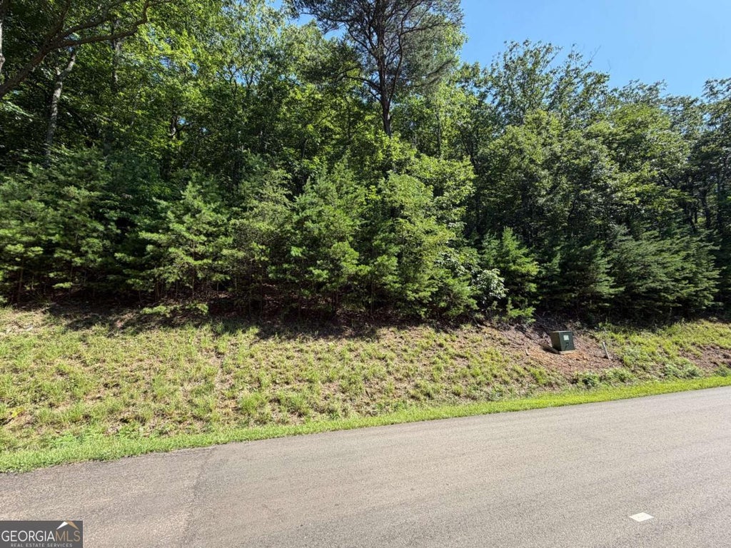 Photo of 233 Stone Cliff Drive #233, Ellijay, GA 30560 (MLS # 10797396)
