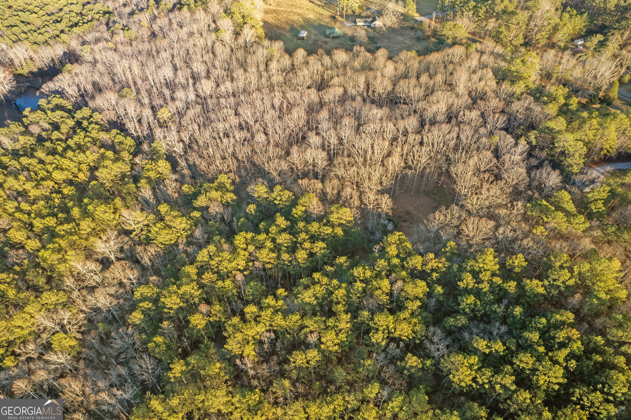 Rockmart, Georgia 30153, United States, ,Land,Active,22919