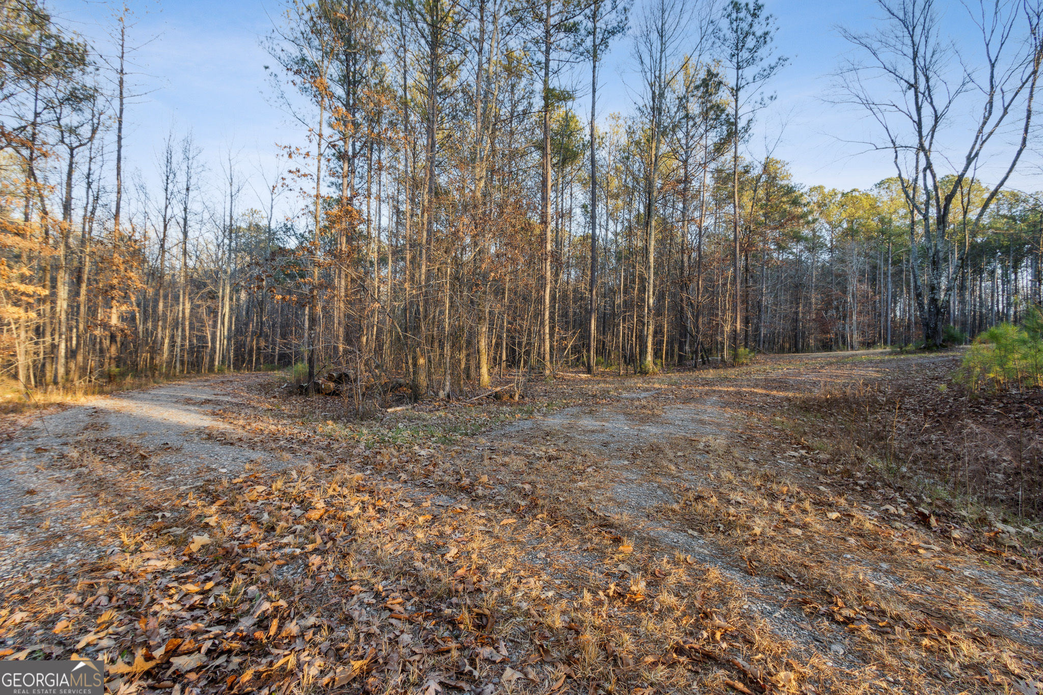 Rockmart, Georgia 30153, United States, ,Land,Active,22919